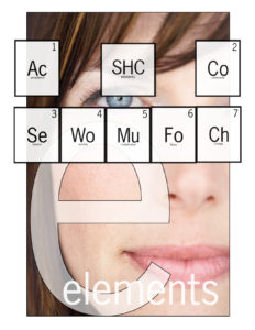 elements chart_title page_SHC jpg